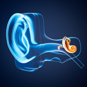 stem cell treatment for hearing loss