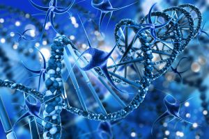 Stem cell skin treatment