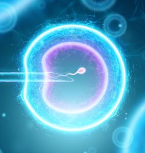 stem cell treatment for female infertility