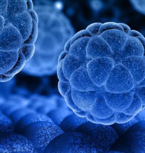 ALS Stem Cell Treatment Germany