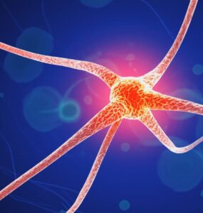 nerve damage stem cell treatment