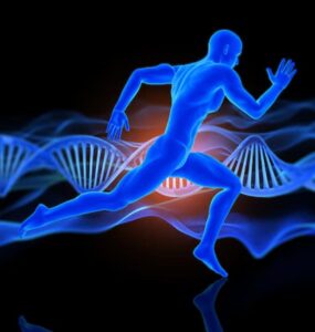 Stem Cell Treatment for Joints