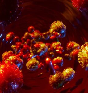 Stem Cell Liver Treatment