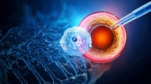 stem cell retina treatment
