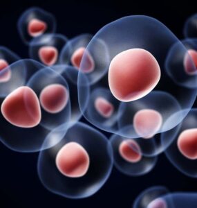 stem cells treatment cost