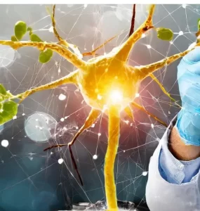 motor neurone disease stem cell treatment