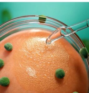 stem cell treatment for lichen sclerosus