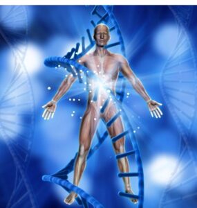 Muscular Dystrophy Treatment