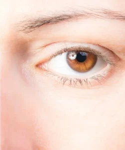 Regencord Derma e Stem Cell Eye Lifting Treatment